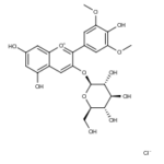 Cloreto De Malvidina-3-O-Glucosideo - 10Mg