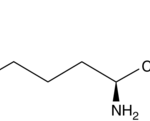 L-Nmma (Acetato) - Fr/100Mg
