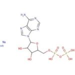 Adenosina 5'-Difosfato, Sal De Sodio - 500Mg