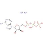 Adenosina 5'-Trifosfato, Sal De Sodio - 5G