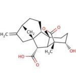 Giberelina A4, +90% - Fr/5Mg