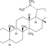 Betulin - 500Mg