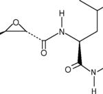 Inibidor E-64D - Fr/1Mg