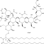 Ganglioside Gd1A Mixture (Sodium Salt), 1 Mg