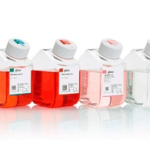 Gentamicina, 50Mg/Ml - 10Ml