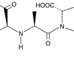 Enalapril (Maleato) - 500 Mg