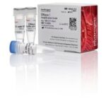 Dnase I, Grau Amplificacao - 100U