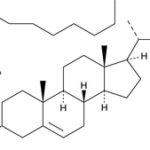 Heptadecanoato De Colesteril >95% - Fr / 100Mg
