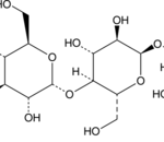 Maltotetraose, 95% - Fr/100Mg