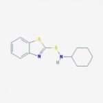 N-Ciclo-Hexil-2-Benzotiazolesulfenamida - Fr/5G