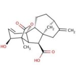 Giberelina A7 - Fr/5Mg