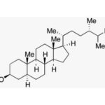 5A(H)-Campestanol, 50 Mg
