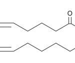 2-Araquidonoil Glicerol-D5  - Fr/500Ug