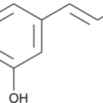 Acido Cafeico, +97% - 5G