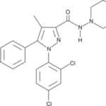 Antagonista Am251 - 10Mg