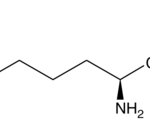 Inibidor Cloridrato De L-Name, 99%, 10G