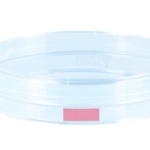 Placa Cultura De Celulas Aderentes Esteril C/Tampa 100X20Mm - 10 Un