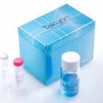 Takyon No Rox Probe 2X Mastermix Dttp - Fr/ 7,5Ml