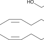 Araquidonoil Etanolamida (Anandamina) - Fr/10Mg