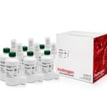 Rnasezap Solucao De Descontaminacao De Rnase - Fr/250Ml