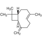 Beta- Cariofileno 90% - 25Ml