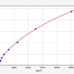 Kit Elisa C-Peptide Rato - 96 Testes