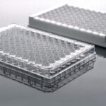 Placa Elisa 96 Pocos Destacavel (Tiras De 8) - 5Un