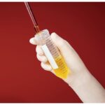 Tubo Em Pp, 15Ml, Esteril, Tampa Flat, 10 Racks Com 50Un - 500Un