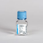 L-Glutamina, 200 Mm; 29,3 Mg / Ml Em Solução Salina A 0,85%