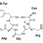 Peptideo Ciyclo(Arg-Gly-Asp-D-Tyr-Cys) - Fr/5Mg