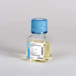 Penicilina-Estreptomicina 10000 Ug/Ml - 100Ml