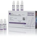 Meio De Montagem Antifade Diamond Com Dapi , 2Ml - 5Un