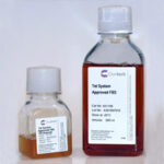 Soro Fetal Bovino Para Cultura De Celulas, Livre De Tetraciclina - 500Ml