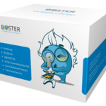 Kit Elisa Multiplex  Citocina Humana -  (16-Plex)