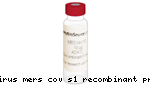 Proteina Recombinante Coronavirus Mers-Cov S1 - Fr/0,1Mg
