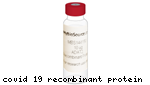 Proteina Recombinante Spike Sars-Cov-2 (S1) (2019-Ncov/Coronavirus) - Fr/0,1Mg