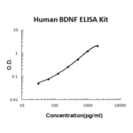Kit Elisa Bdnf Humano - 96 Testes
