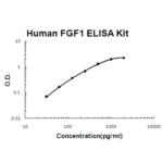 Kit Elisa Humano Fgf1/Fgf Acidico - 96 Testes