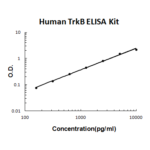 Kit Elisa Trkb, Humano - 96 Pocos