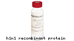 Proteina Recombinante H1N1 Influenza A - Fr/0,01Mg