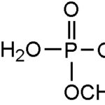 Fosfato De Dietilo, 100Mg