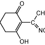 STANDARD CLETHODIM - 50MG