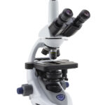 Microscópio Óptico