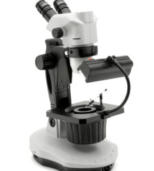 Estereomicroscópio