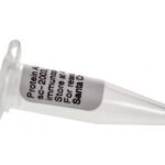 Proteina A/G Plus-Agarose, 100 Reacoes - Fr/2Ml
