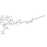 Bleomycin A5 Hydrochloride (Cas 55658-47-4) 1Mg