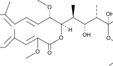 Inibidor Bafilomicina A1 - 95Porc - Fr/1Mg