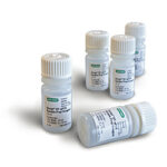 Reagente P/ Preparacao De Amostras Para Rt-Qpcr