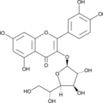Isoquercitrosida 98% - 5Mg