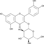 Isoquercetina - >98% 50Mg